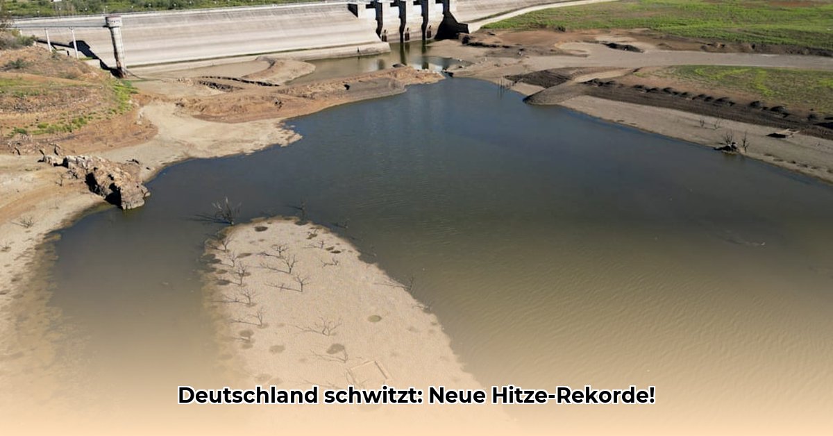 hitzerekorde-deutschland